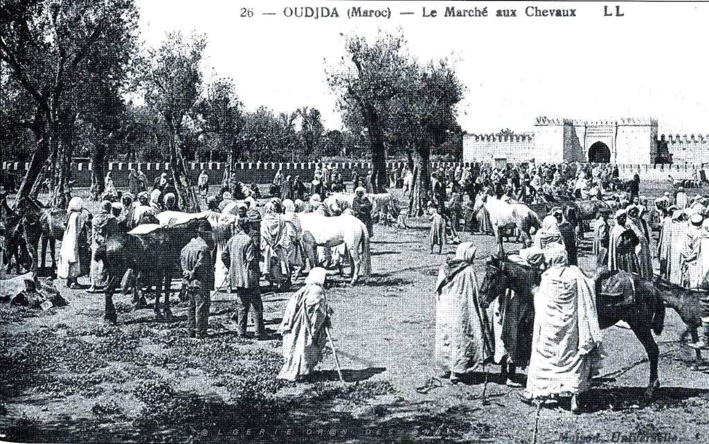 BIVEN Georges - 251- Oujda.JPG